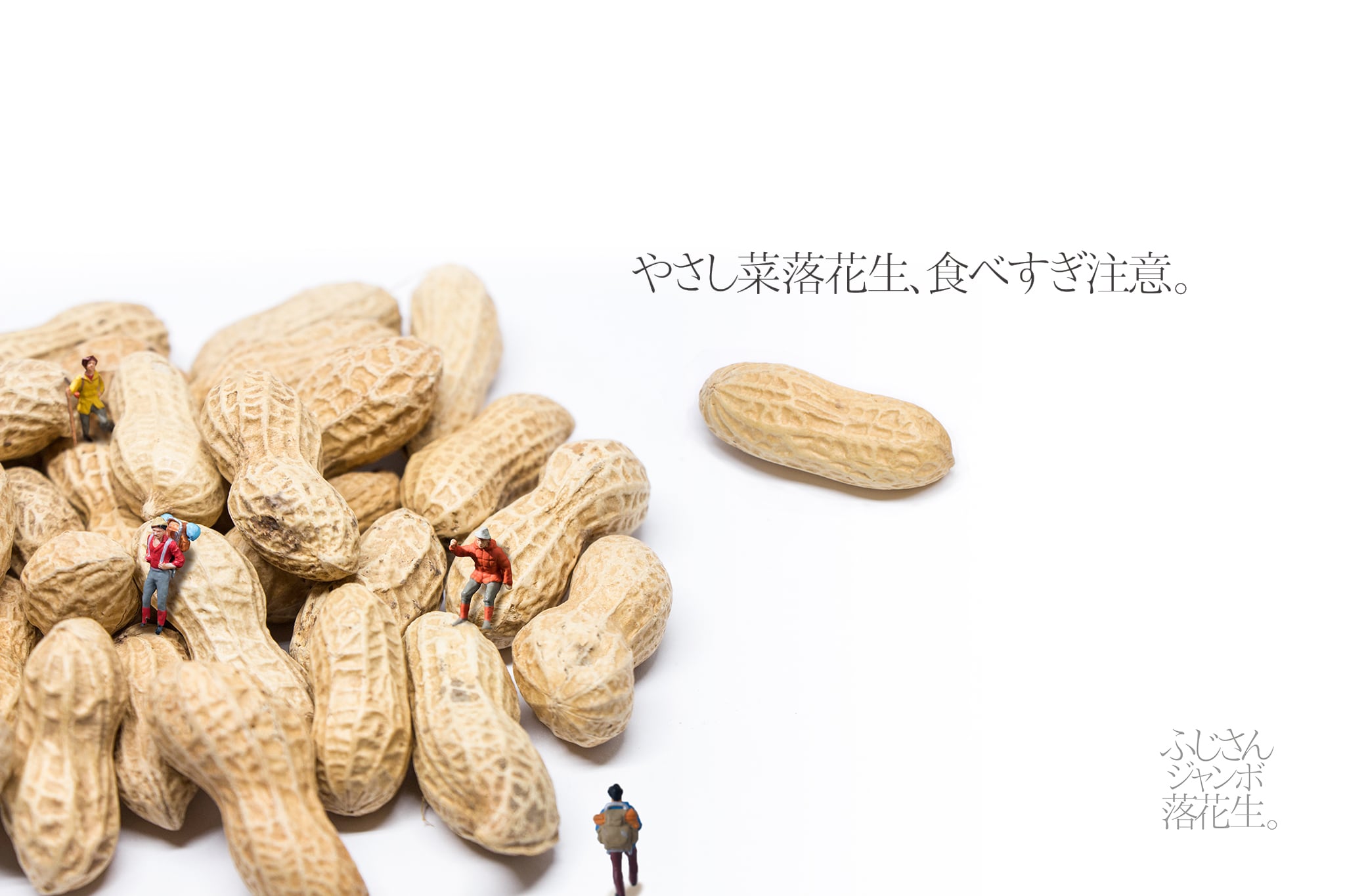 ふじさんジャンボ落花生「20kg」業務用L | 無農薬有機栽培 やさし菜