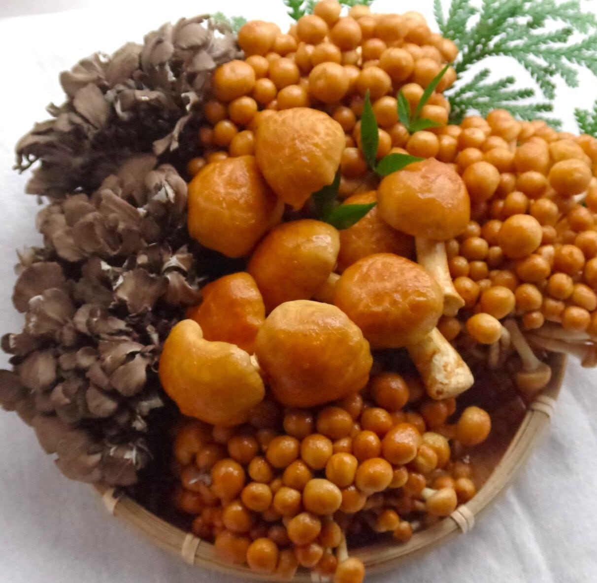 木滑なめこ | yamadachikai