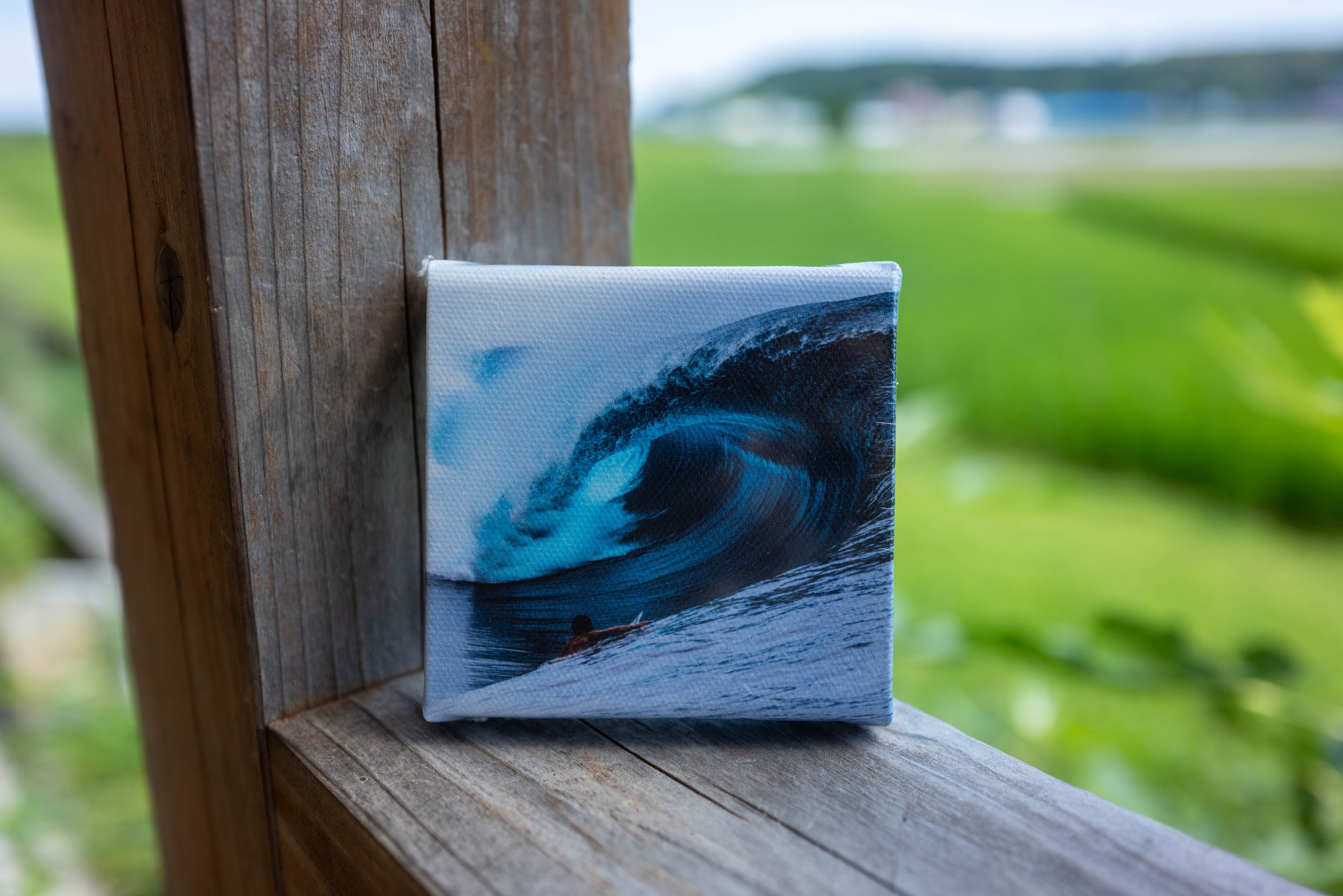 花写真 水の上に浮かぶ白いユリ インテリアアートポスター額装 AS3767