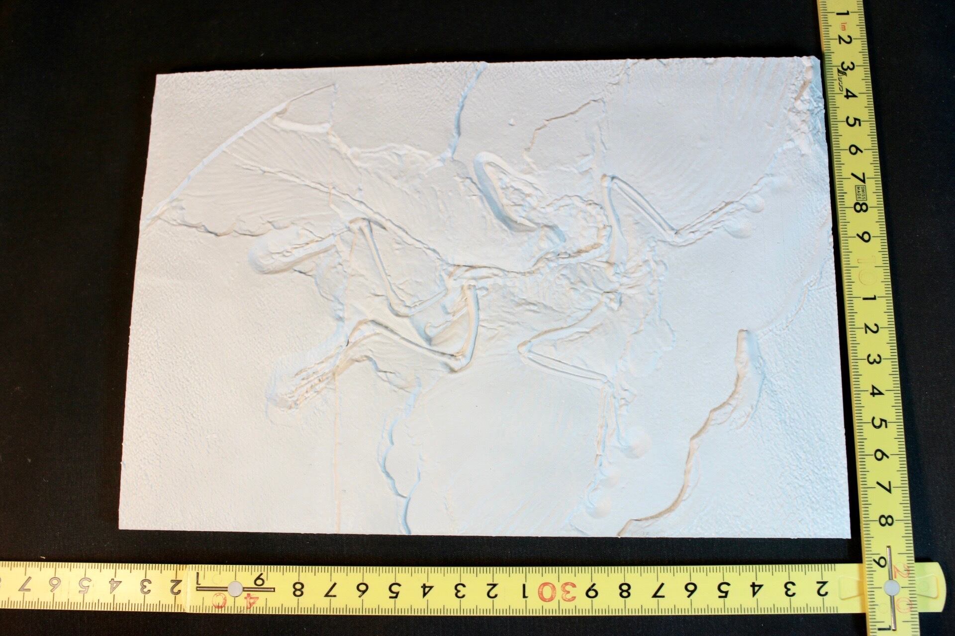 始祖鳥レプリカ 約23㎝