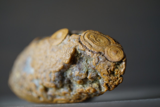 ゴビアゲート Gobi Agate 1129