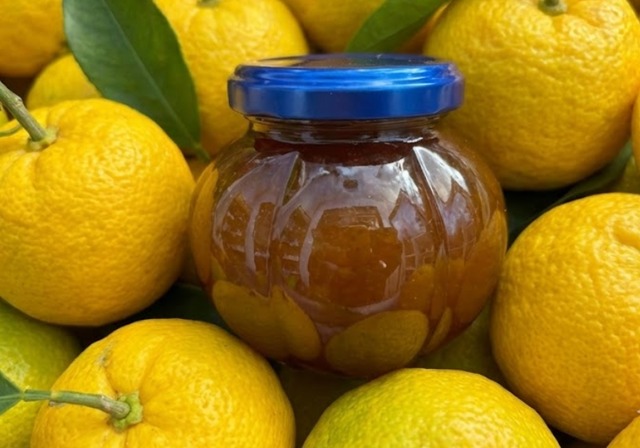 ＜要冷蔵＞高知県産ゆず果汁使用のぽん酢２こと生青じそドレッシング２こ　合計4個送料込み　クール代金込み