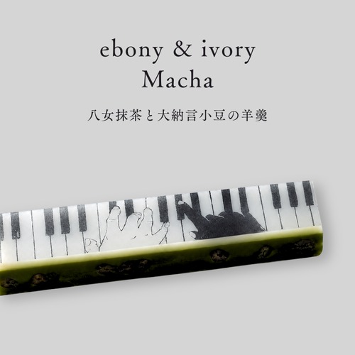 【アート羊羹】ジャズ羊羹 ebony & ivory matcha
