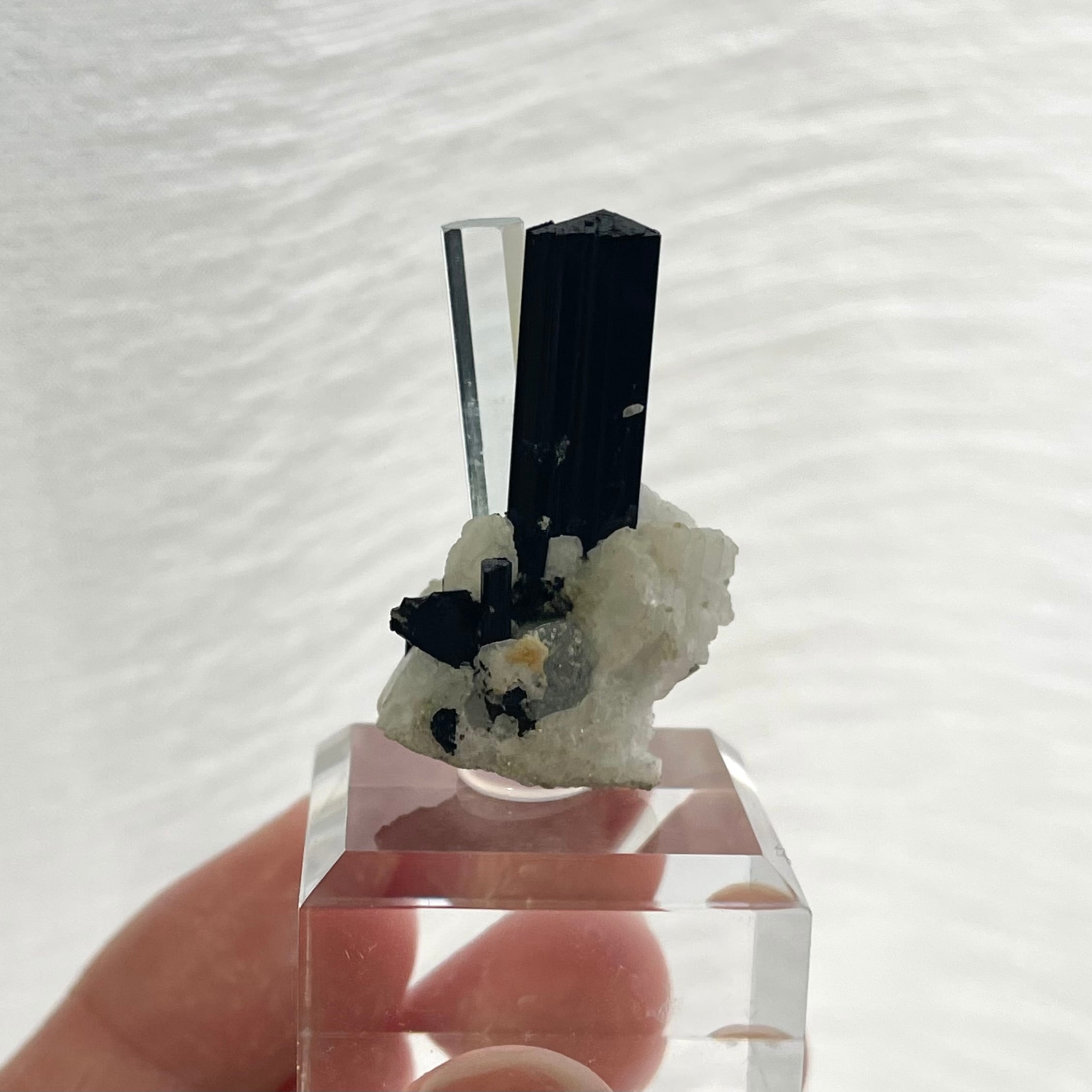 アクアマリン / ショール / アルバイト【Aquamarine with Schorl on