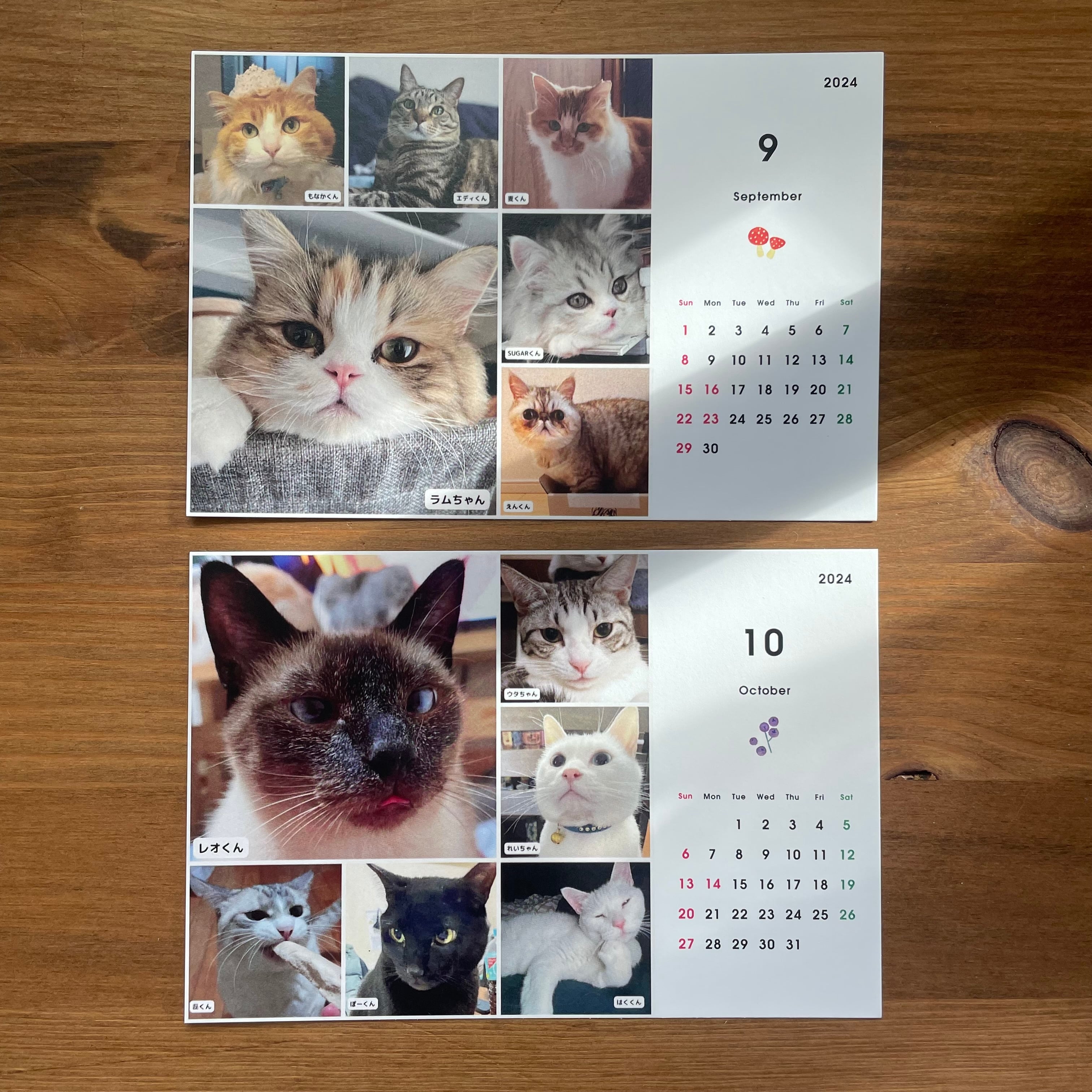 75にゃんカレンダー｜卓上〈2024〉猫 ネコ 猫カレンダー 猫柄 猫雑貨 卓上 ポストカードサイズ 保護活動支援 看板猫