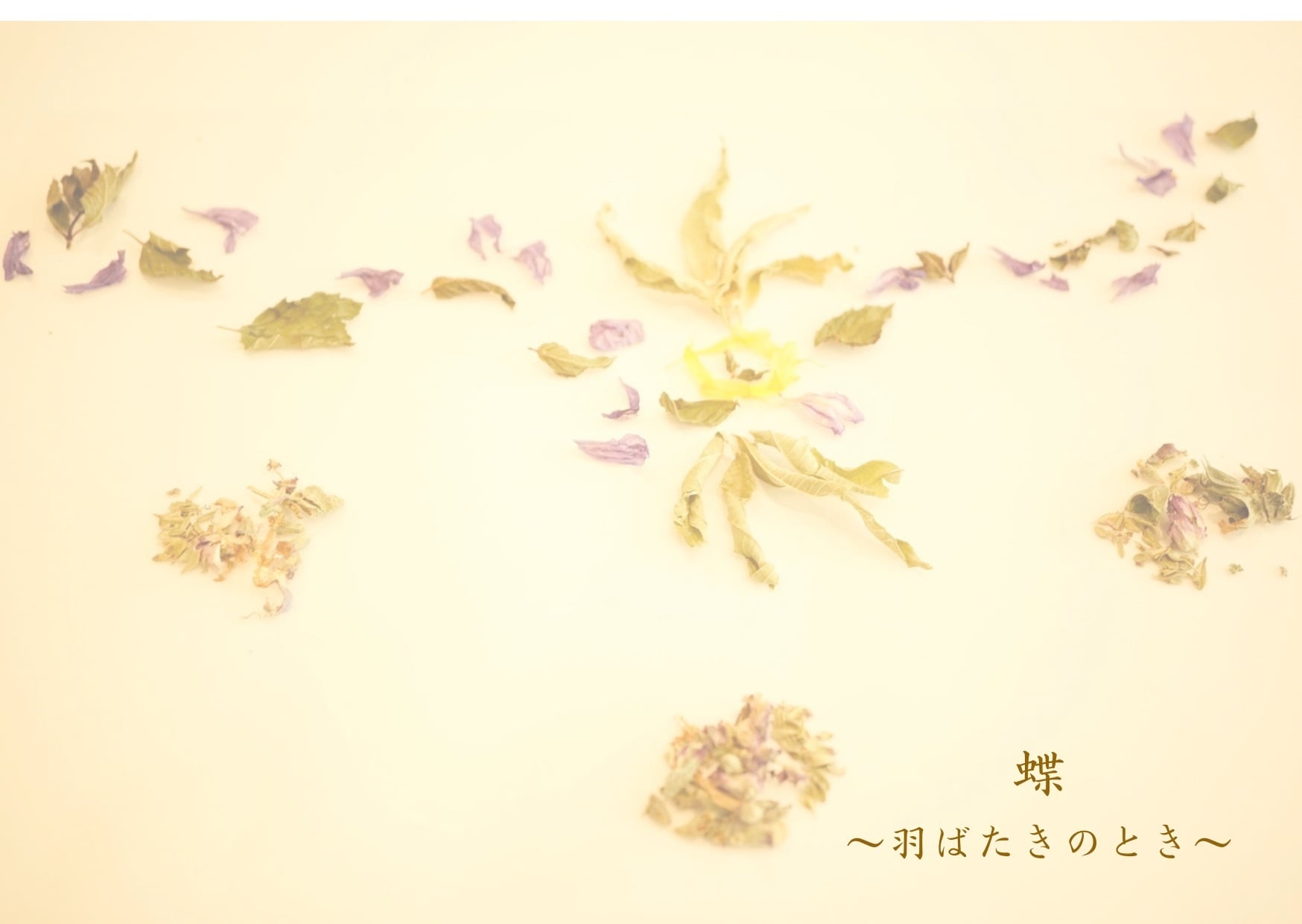 蝶 〜羽ばたきのとき〜 藍色の樹・久高島 響きのハーブティーシリーズ