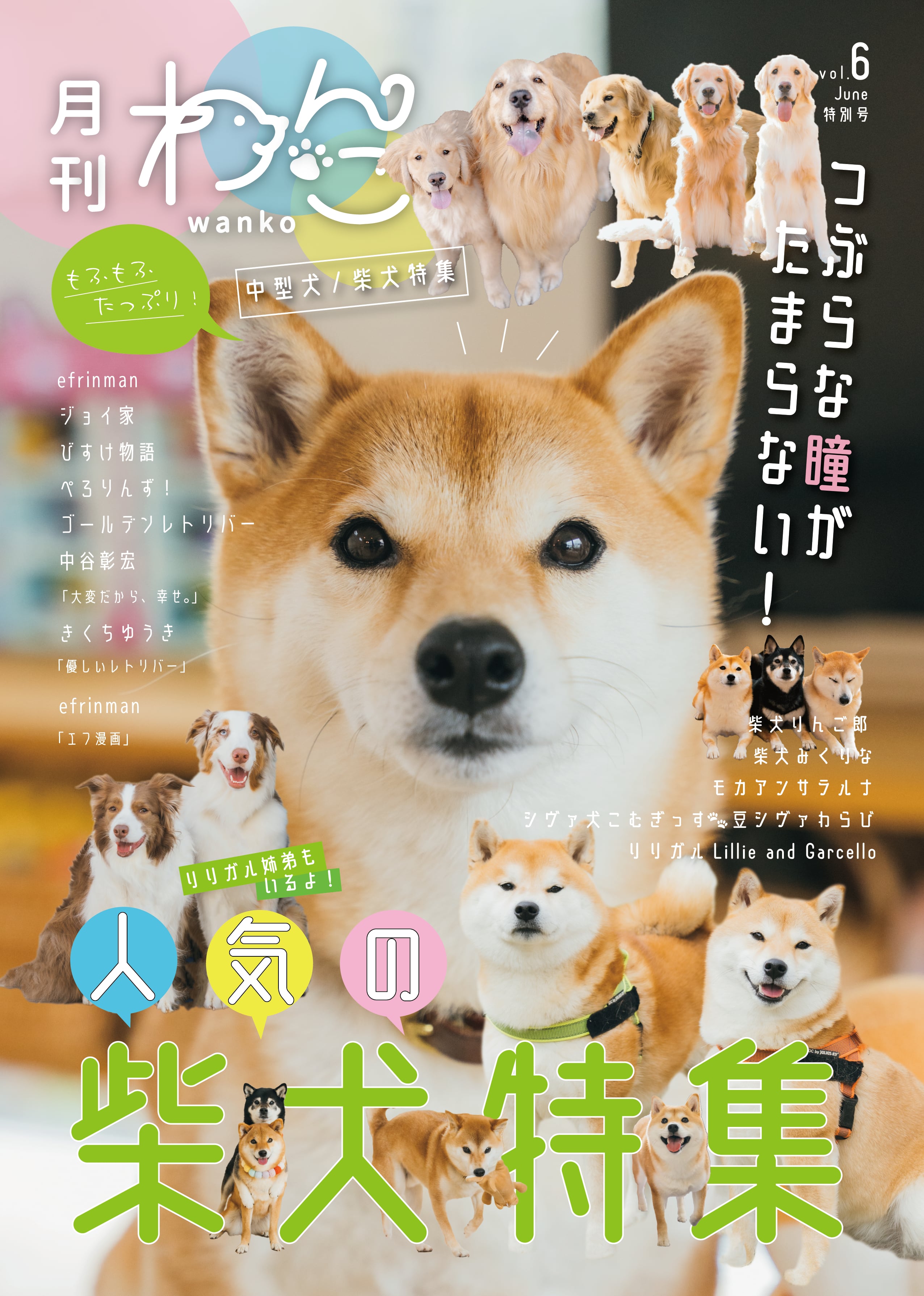 月刊わんこ vol.6 特別号「中型犬／柴犬特集」表紙巻頭特集：柴犬