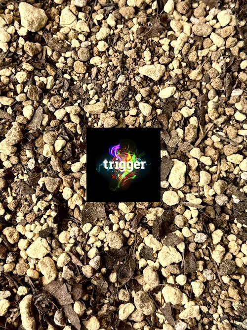 trigger観葉植物土 ２Ｌ