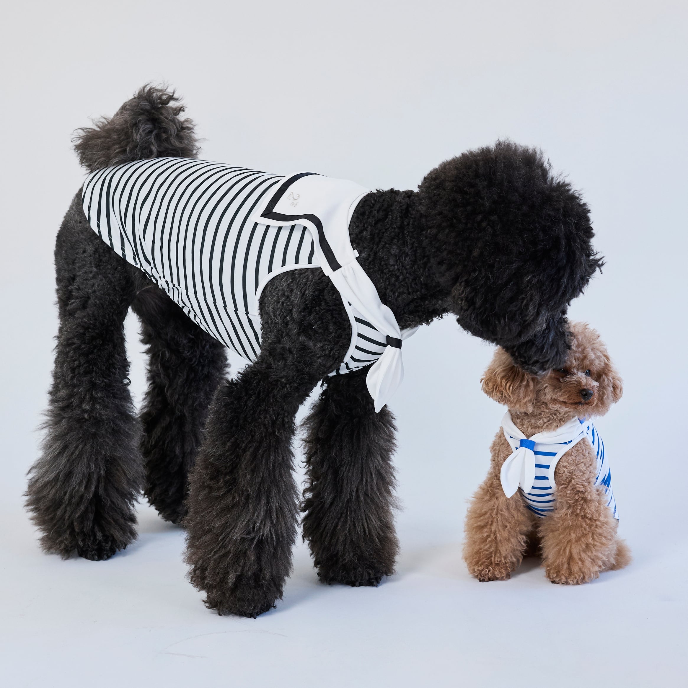 265503大型犬サイズ】冷感セーラータンクトップ | 犬服ブランド 2e