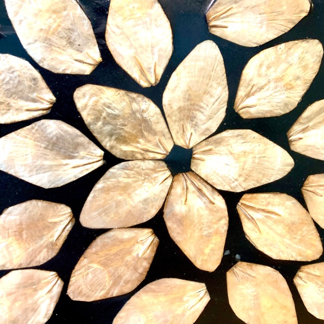 シェルミラー・花