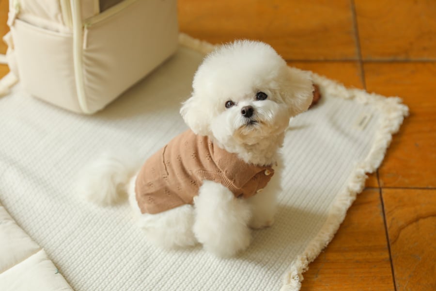 即納【ba＆ttang】bloom sleeveless knit cardigans(mocha)