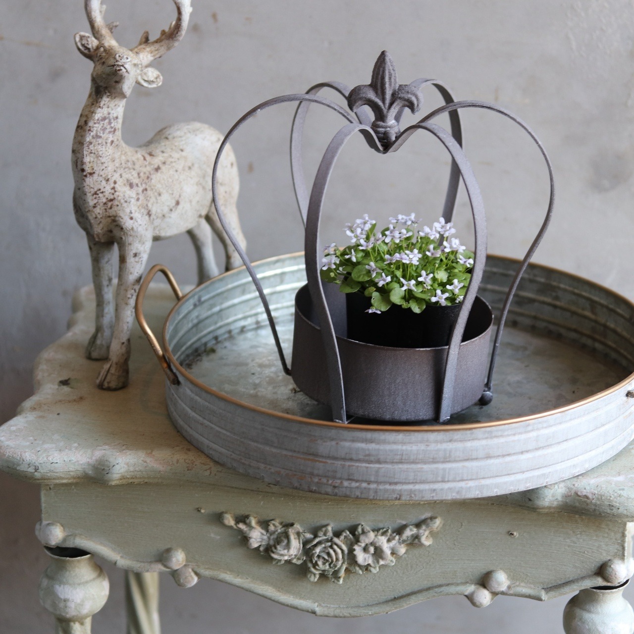 イオノプシジューム　バイオレットクレス　小さなお花　横にひろがる　寄せ植えにオススメ