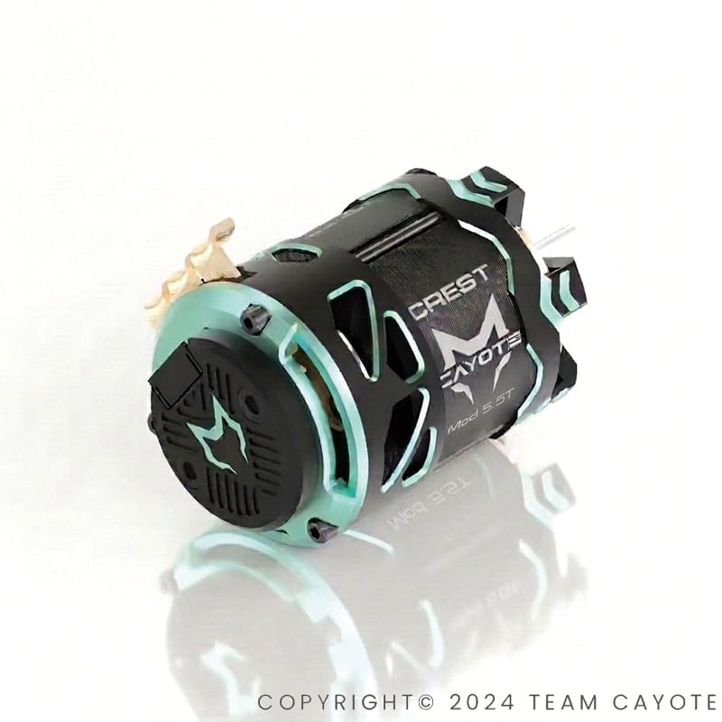 Team CAYOTE | ZEROTRIBE WEBSHOP