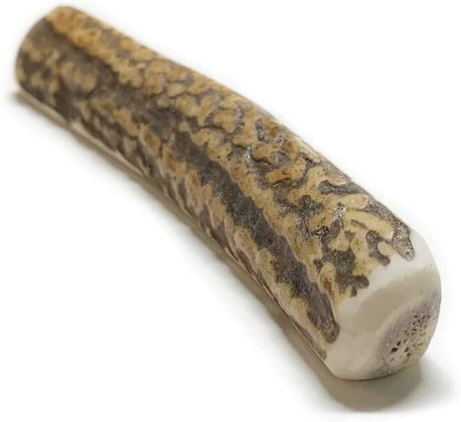 鹿の角（本州鹿）11本 No.2 Honshu Deer Antlers ［本州鹿の角］ | Shiro's Pet Products 無