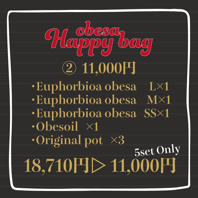 【福袋②】11,000円 限定5セット！