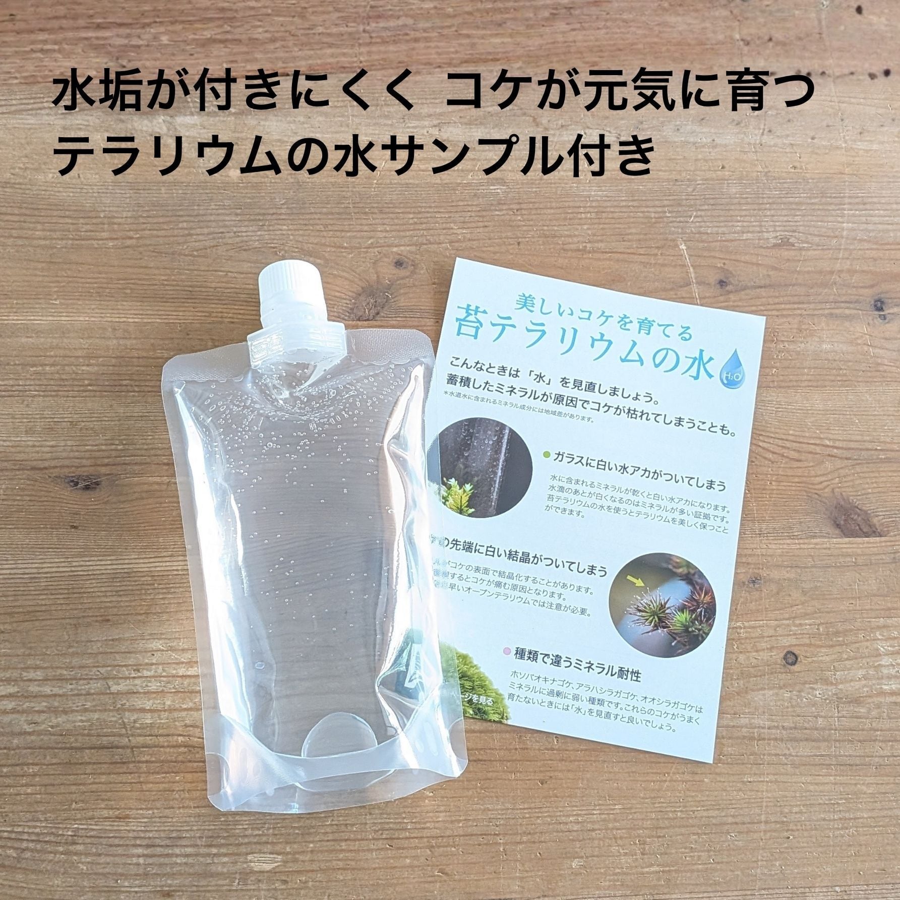 趣味の園芸7月号 掲載記念】景色をつくる苔テラリウムキット（BOX
