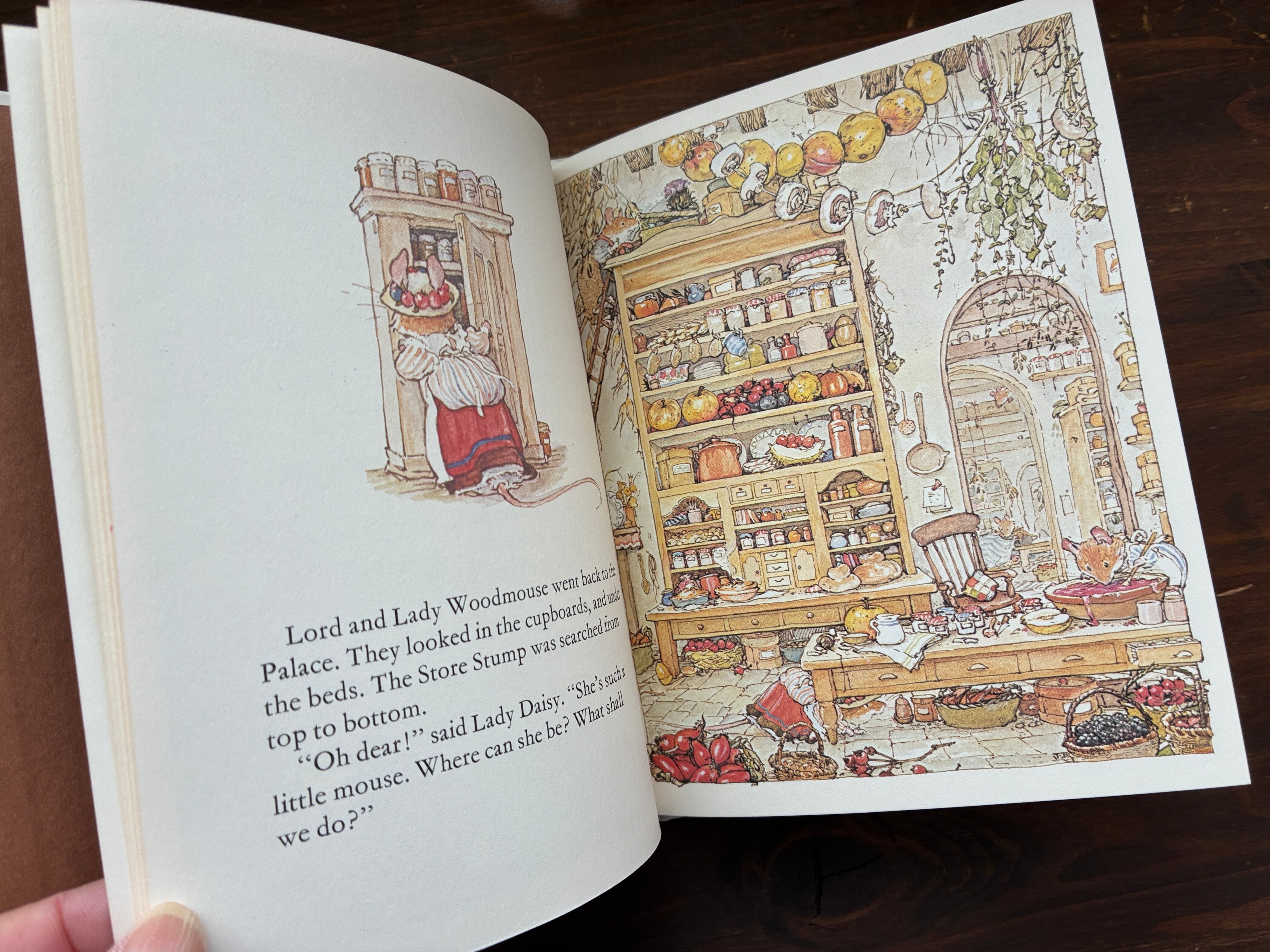 BRAMBLY 　HEDGE (のばらの村のものがたり））