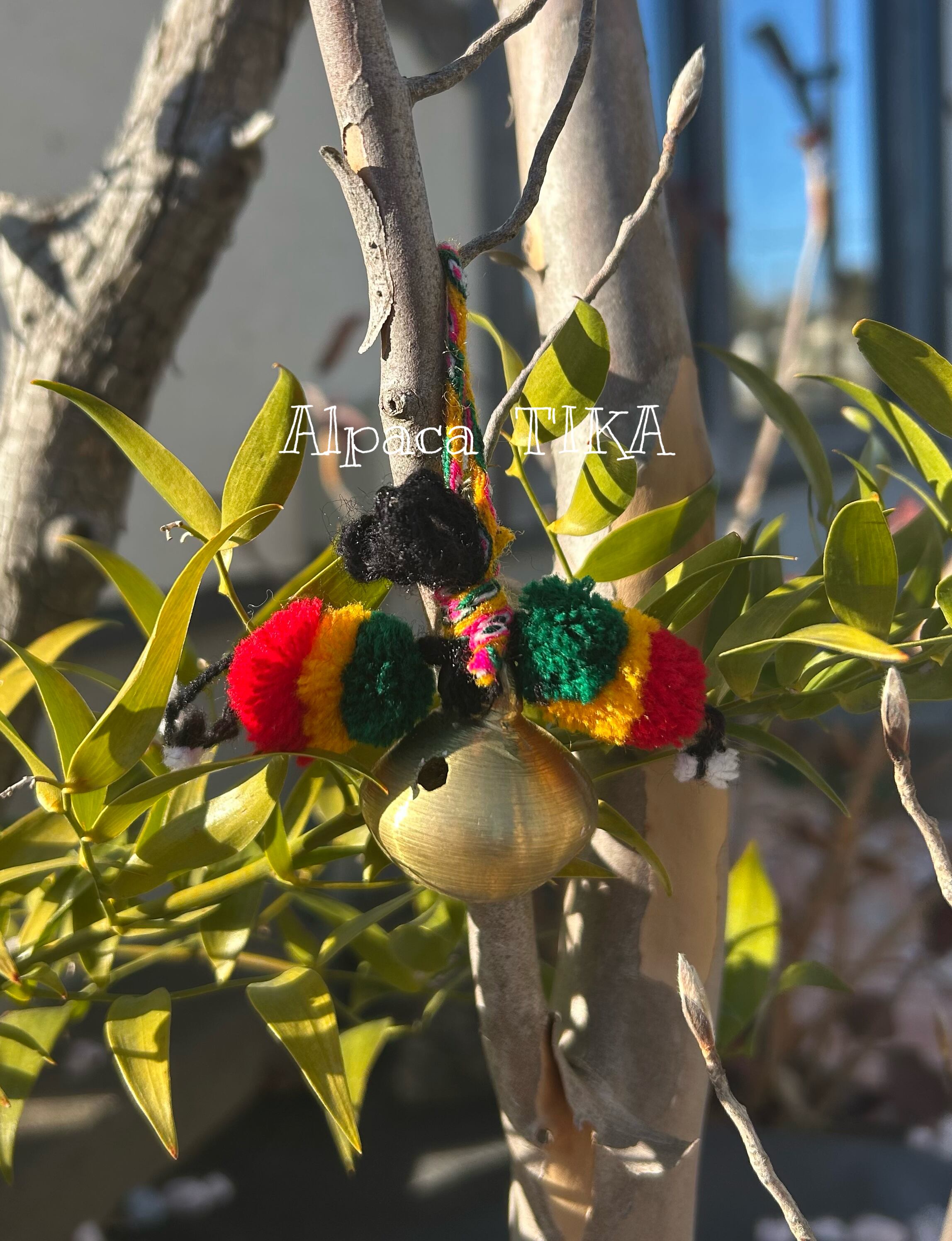 アルパカ専門店T'IKA