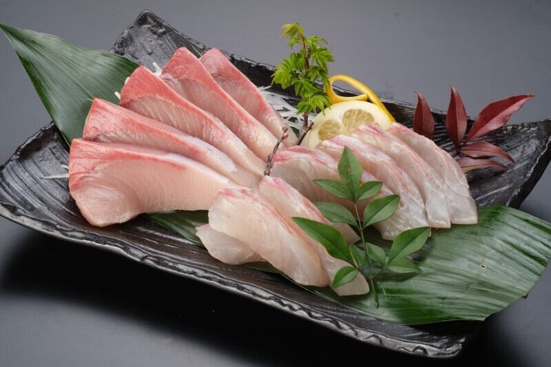 龍馬ぶり 龍馬鯛刺身 すくも特産品マルシェ