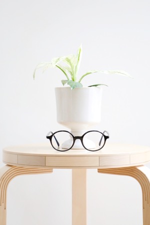 【S】スパティフィラム　センセーション