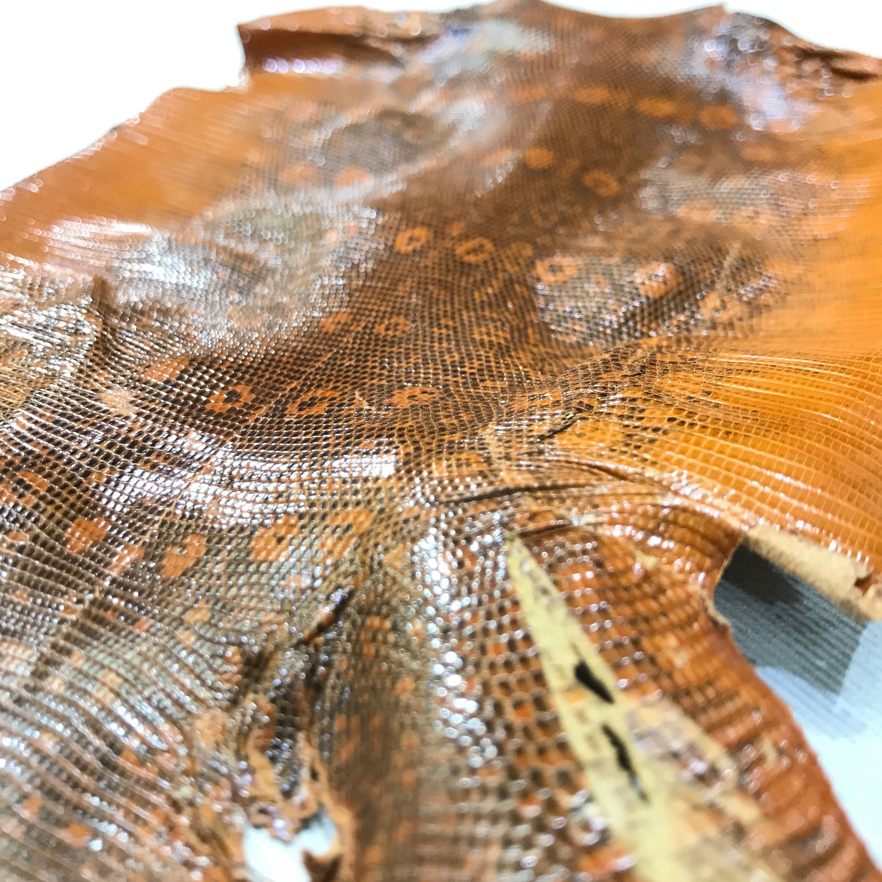 55 レザー トカゲ リザード 皮 革 手芸 材料 茶 46枚セット 合皮レザー生地 トカゲ柄リザード 茶色