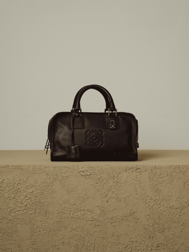 LOEWE ロエベ アマソナ ブラウン シルバー金具 W28