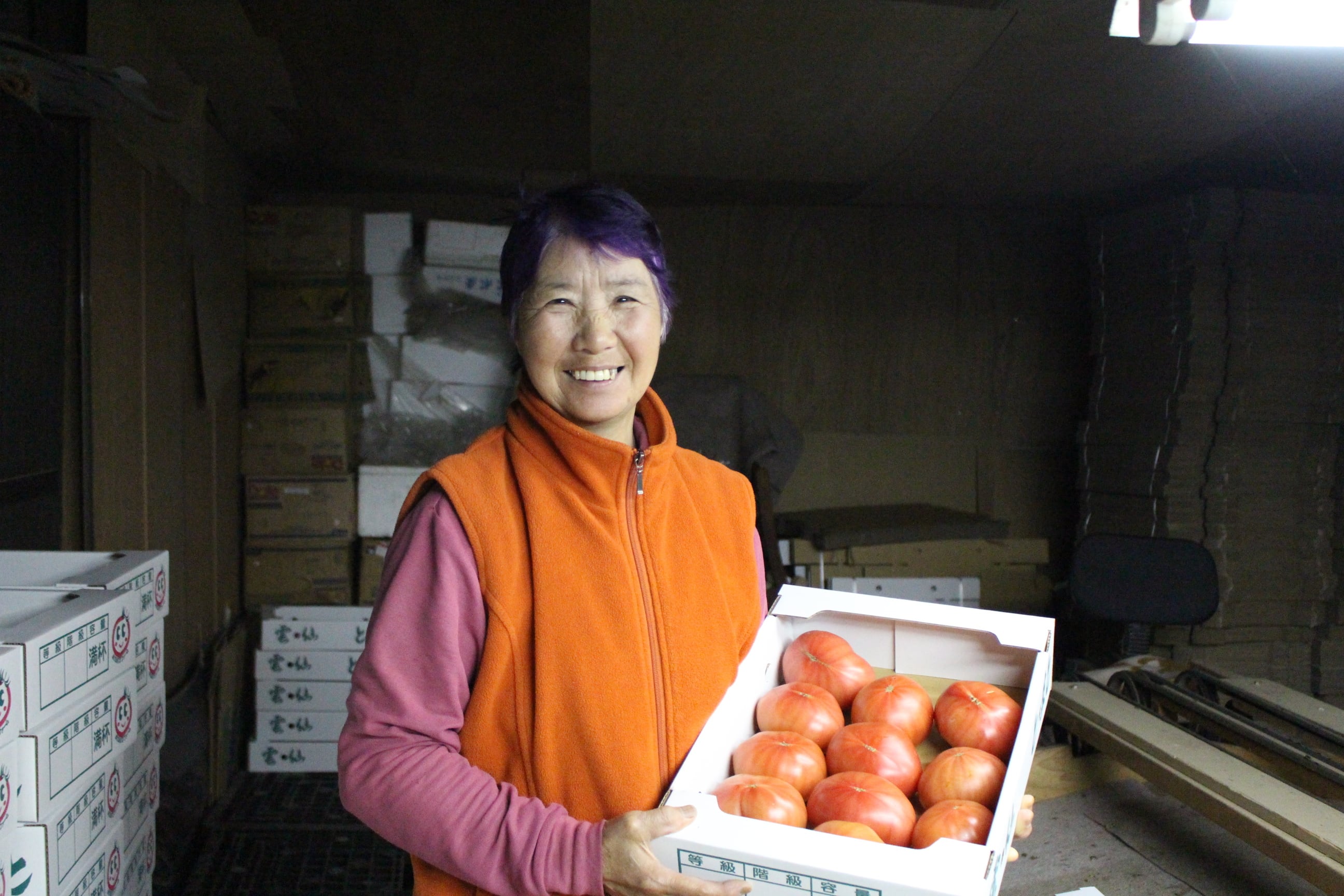 野菜の詰め合わせセット【AYAKOファーム】 | 南島原産直サイト みな