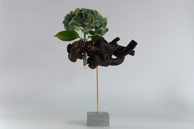 Driftwood flower vase 118 -Cement M -