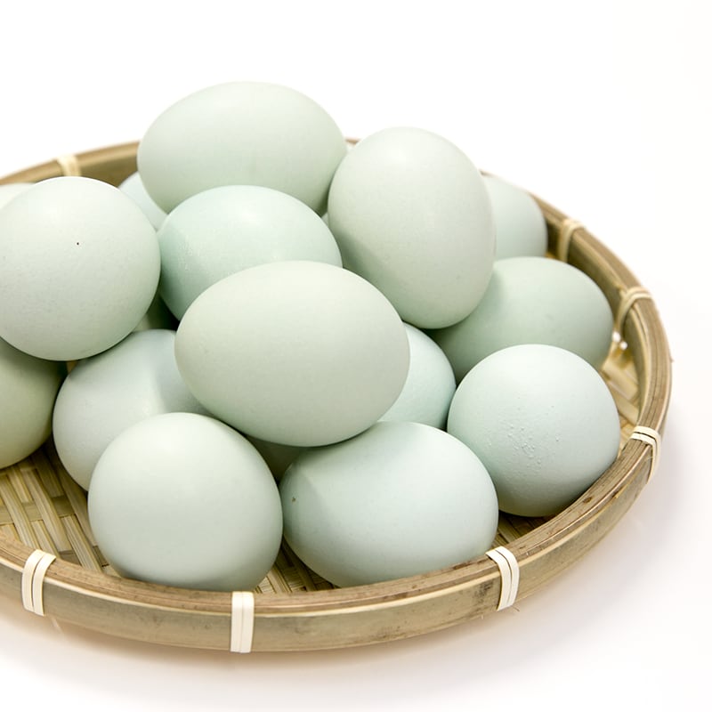 ebb984283325632352b0443d454f95