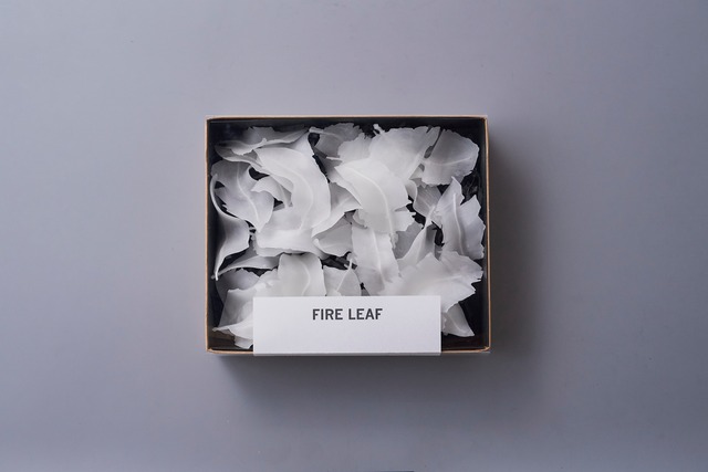 FIRE LEAF