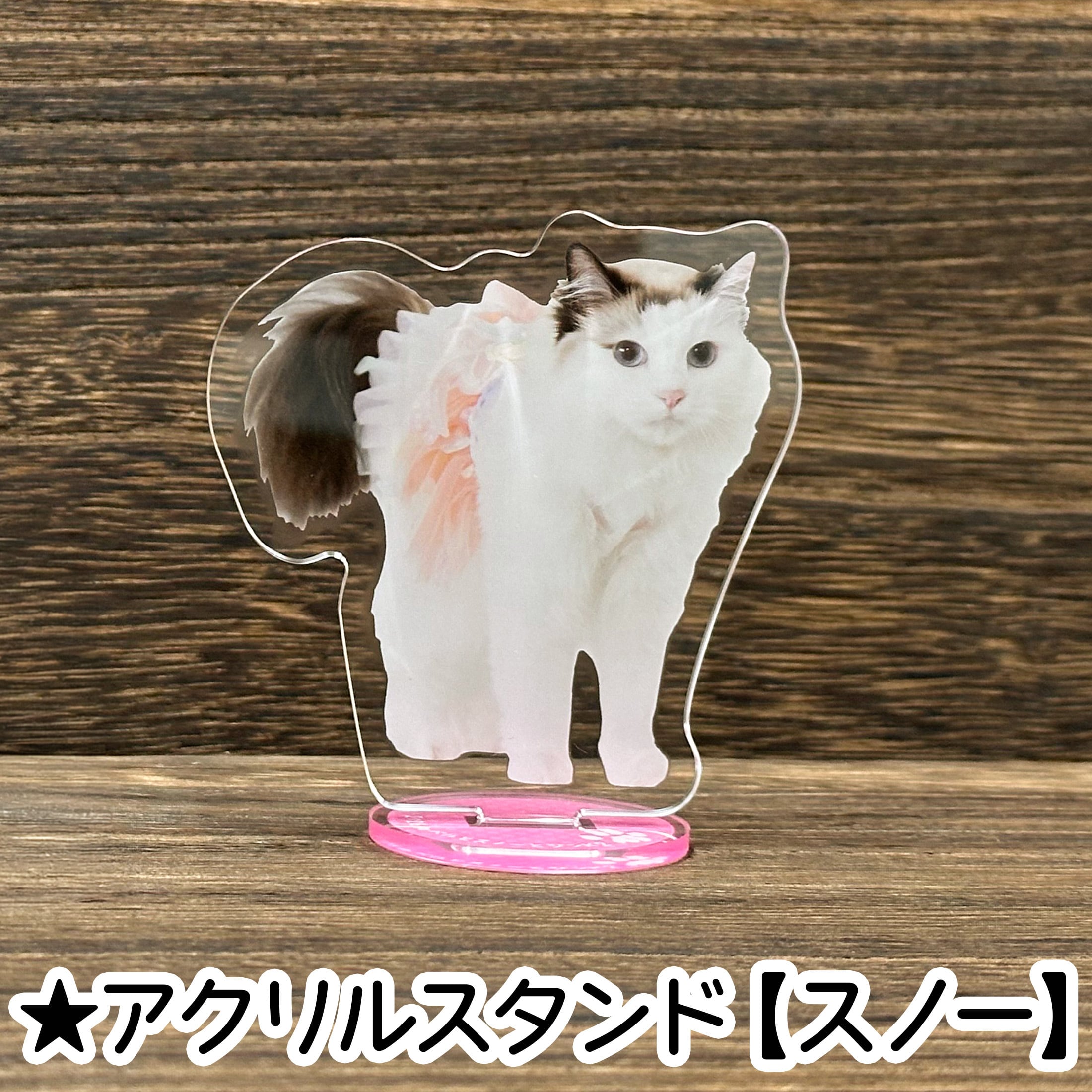 アクリルスタンドB(みんな)《数量限定》【12月上旬お届け予定（送料込