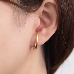 316L cover pierce2 #p41