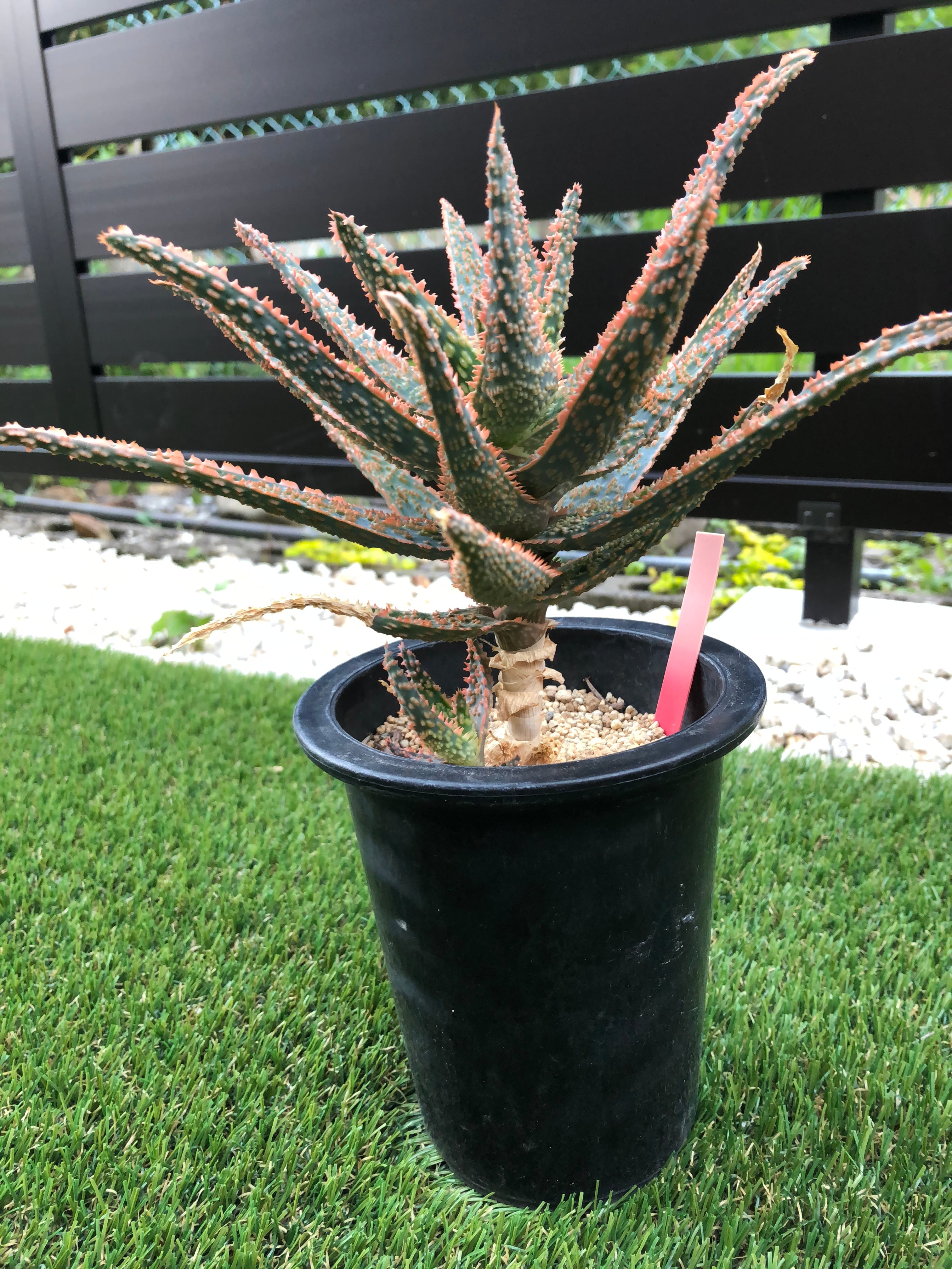 ebbcc1db4693e5836c6575be908c2b