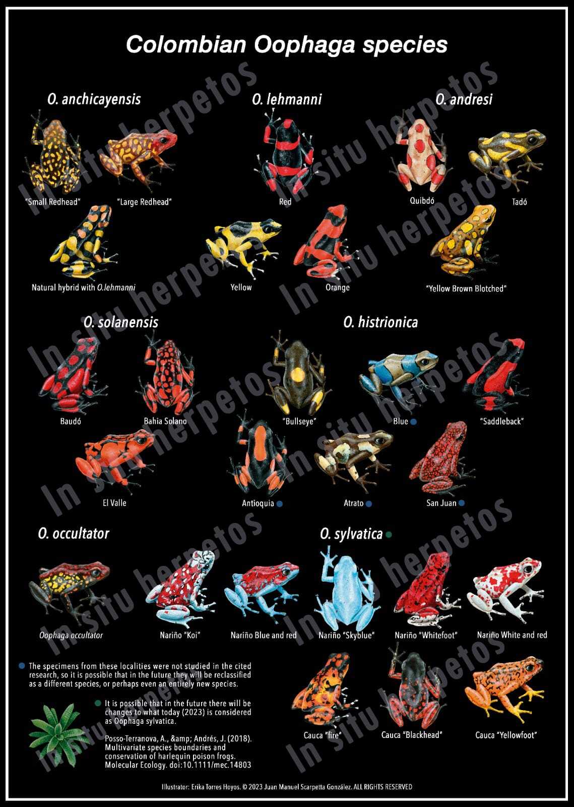 ebbf4b498d5364a7a05a95af431c80