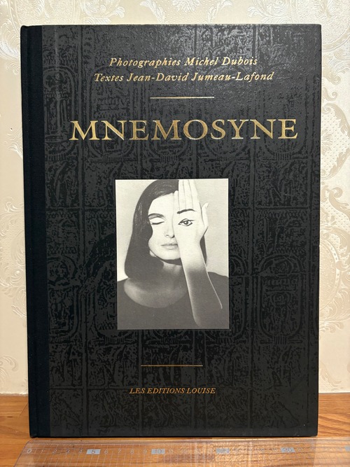 MNEMOSYNE    Michel Dubois