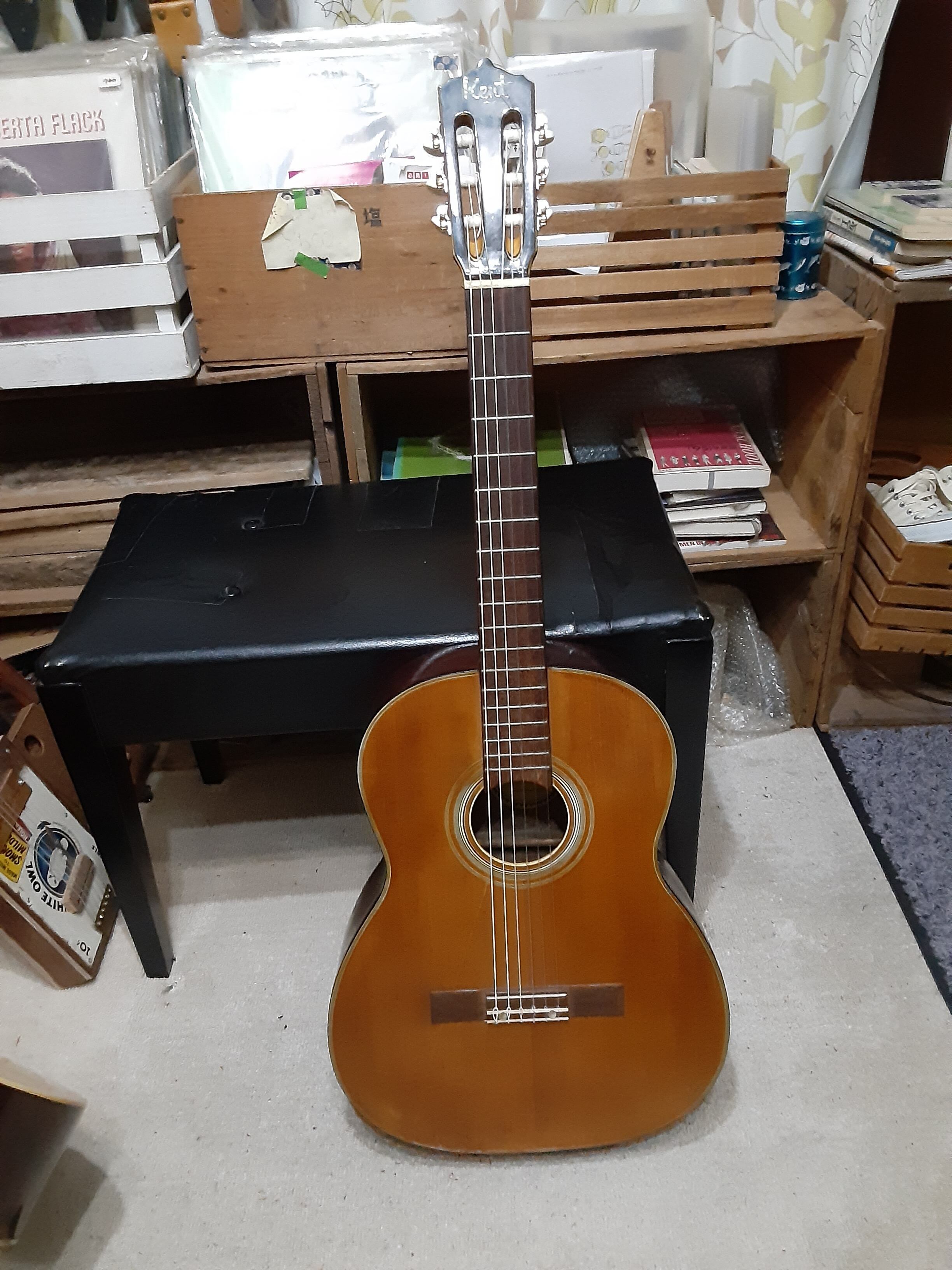 シナノ　ギターNo.63
