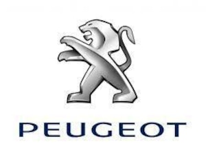 PEUGEOT 専用 Car Key Case