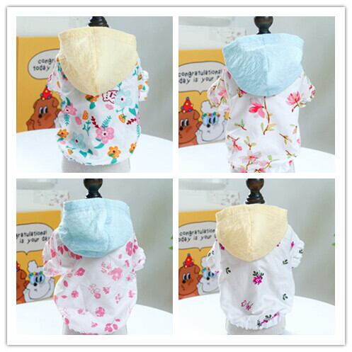 《予約》1102223 バリュエーションフラワーフードトップス