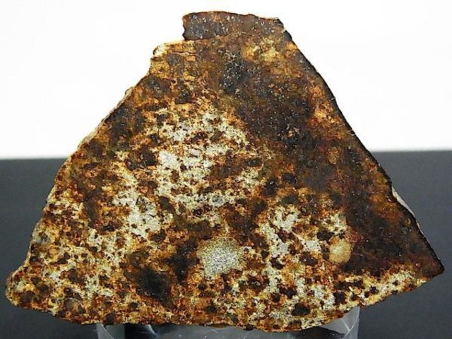 【 隕石 】石質隕石 NWA7650 スライス 17.9g Lタイプコンドライト