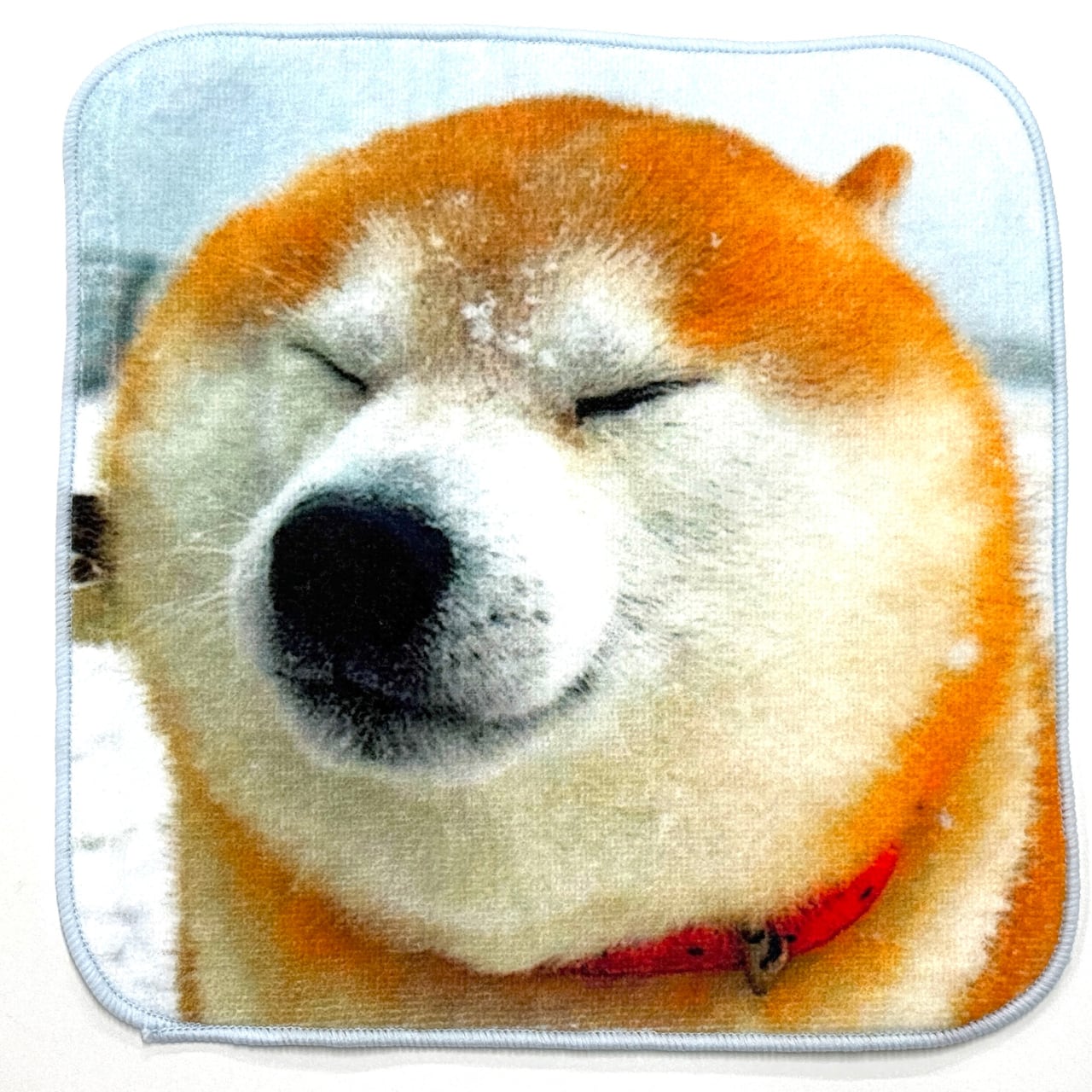 ハンカチ27「 寒波の中、イキッて散歩に出かけるも、あまりの猛吹雪に