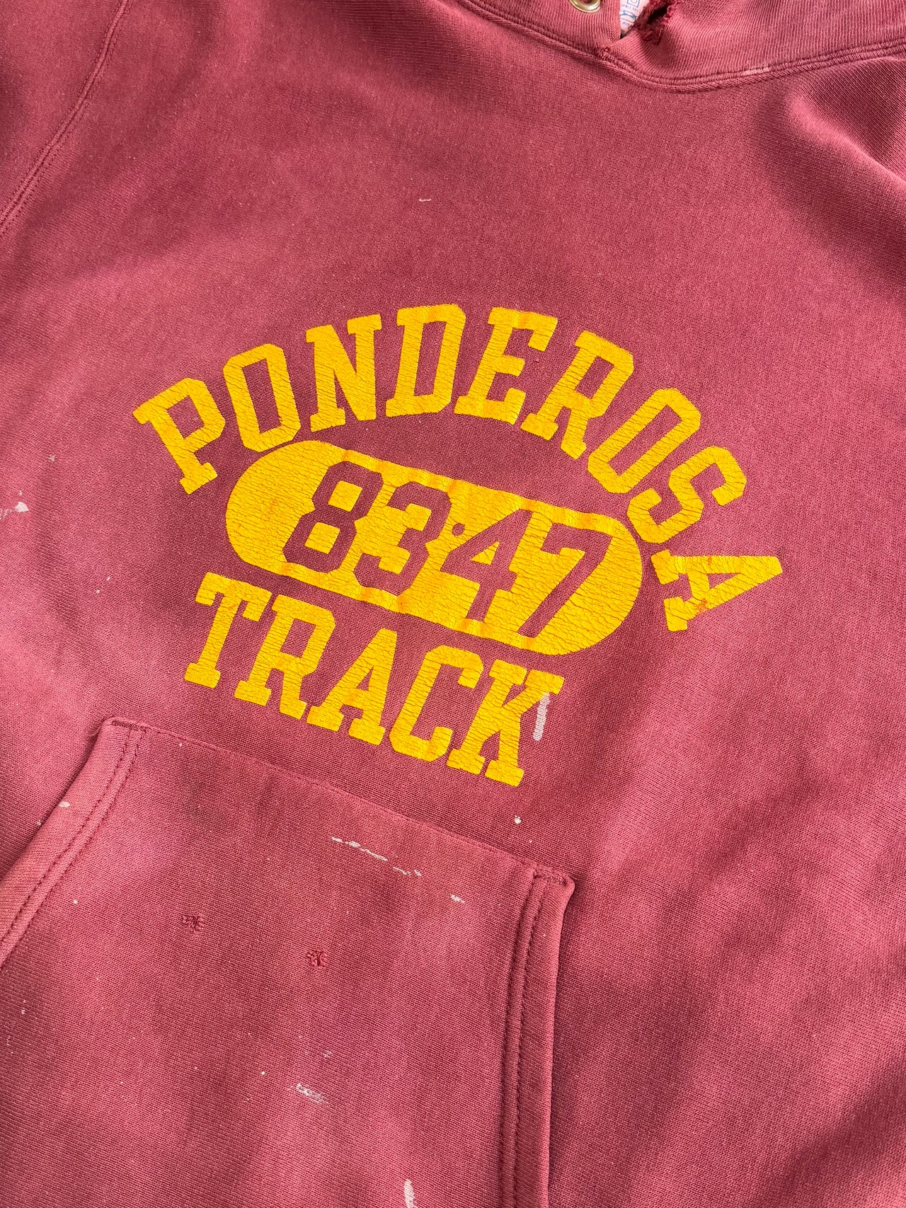 80s Champion REVERSE WEAVE HOODIE MADE IN USA Size XL