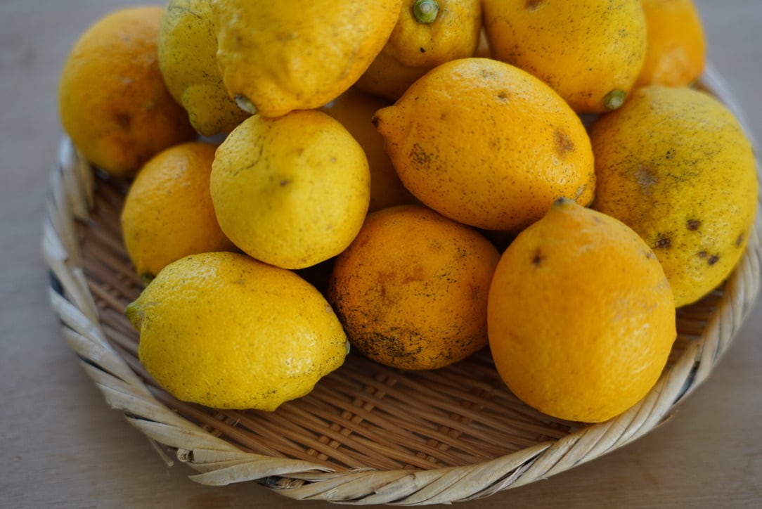 無農薬 化学肥料不使用 プレミアムレモン2 5kg 月星日