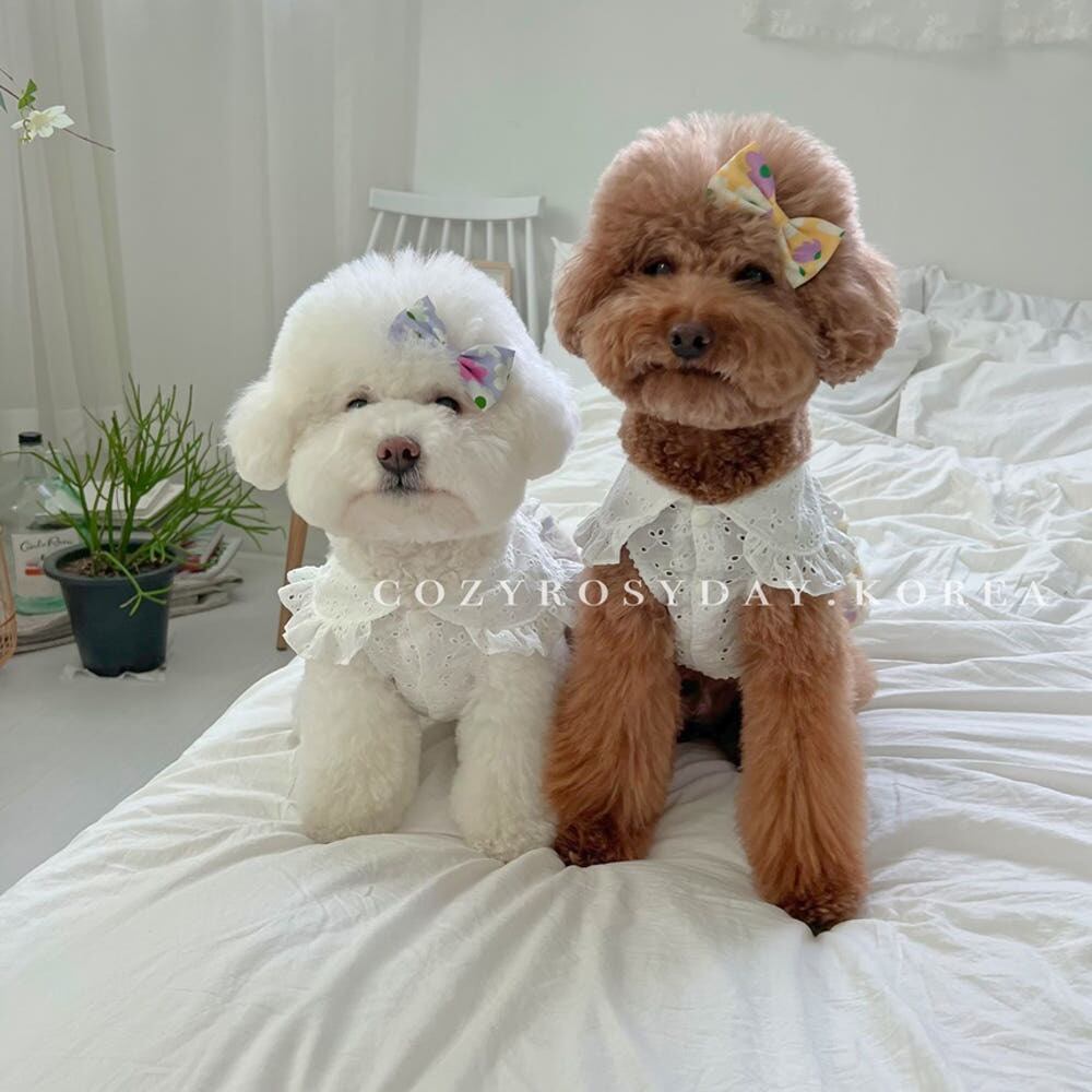 即納販売 lalaland hairpin ララランド ヘアピン（犬用ヘアピン）韓国