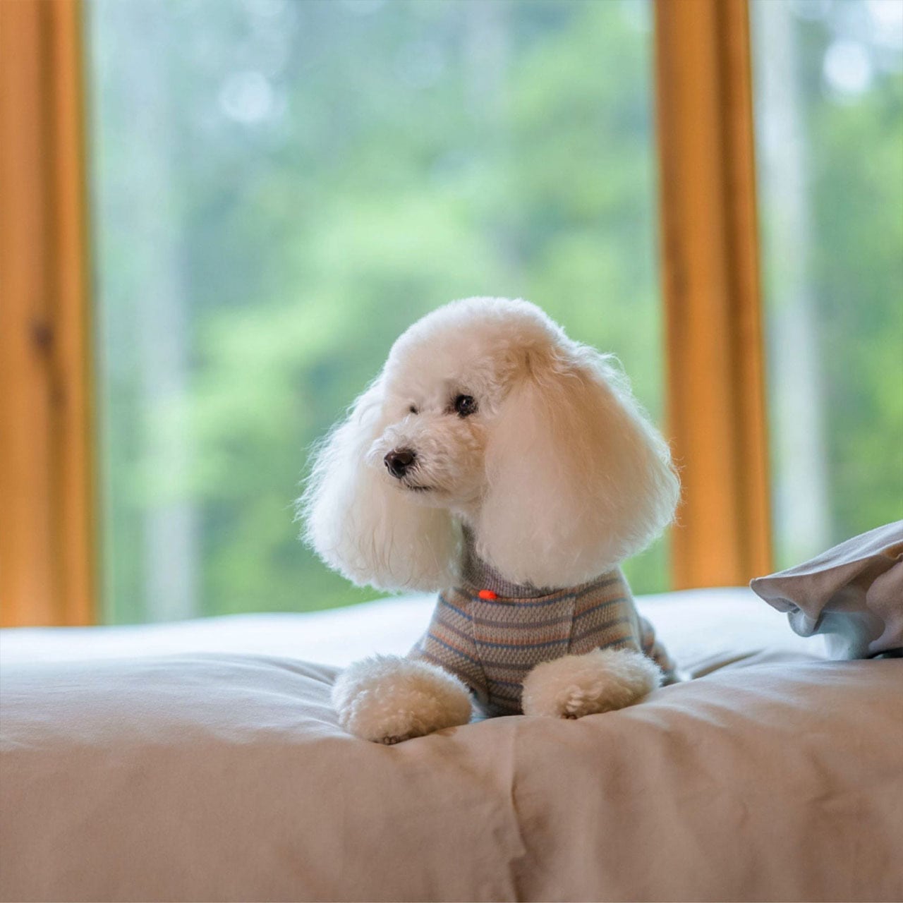 ALPHAICON [アルファアイコン] O-PAJAMA [25OP] おパジャマ・ドッグ