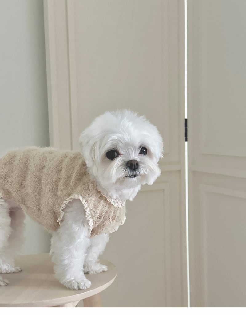 〈即納アイテム〉EYOU / ボードリーセーター (ベージュ)