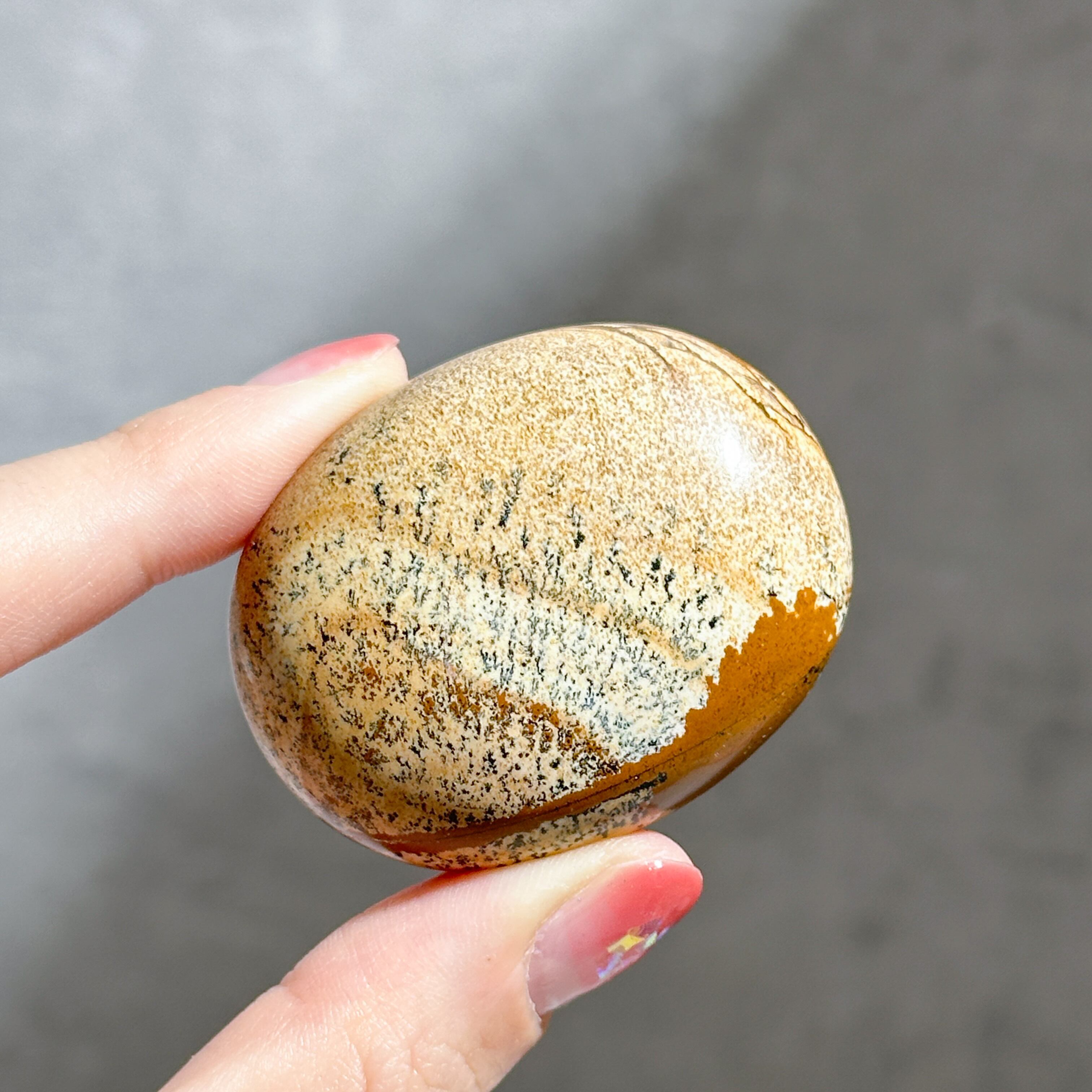 ピクチャージャスパー パームストーン21◇ Picture Jasper ◇ 天然石・鉱物・パワーストーン