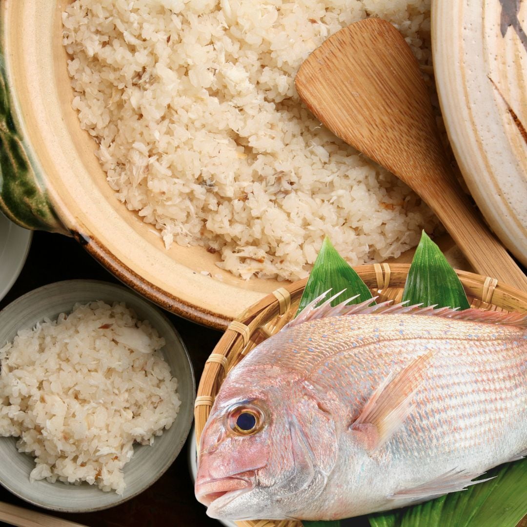天然真鯛 炊き込みごはんのもと｜化粧箱入り 冷凍 真鯛切身 鯛出汁