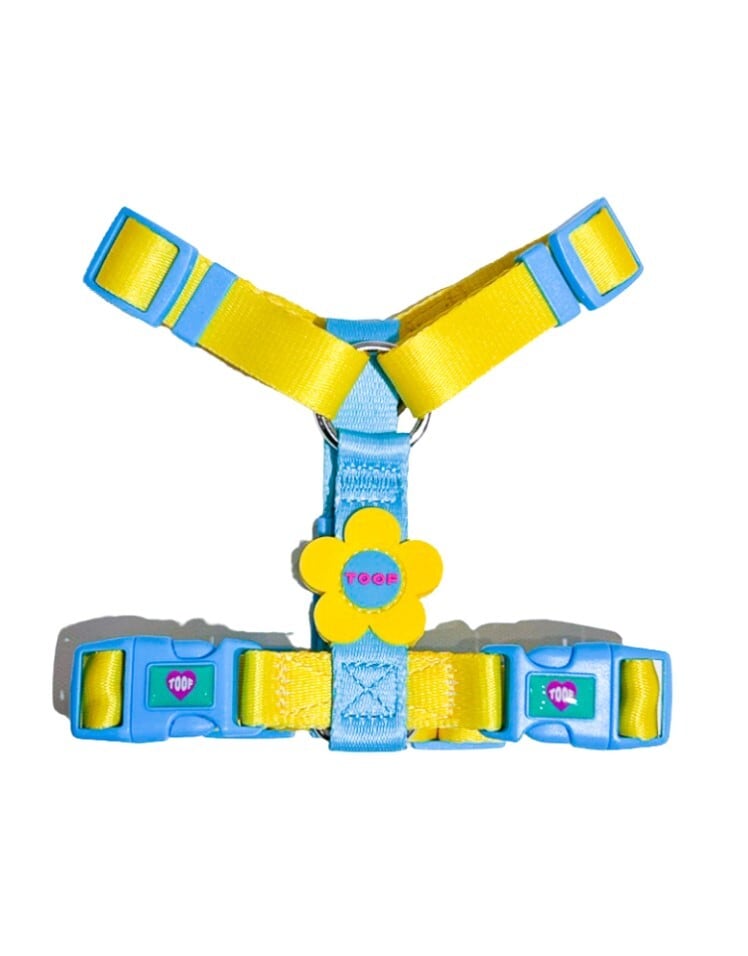 即納【TOOF】Flower Logo H Harness (BLUE/YELLOW)