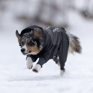 アルファアイコン スノードッグガード 紫茶色 LL （DOG WEAR）