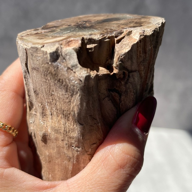 ジンバブエ・ゴクウェ産【ペトリファイドウッド（珪化木）】⑥（樹木の化石）鉱物 天然石 パワーストーン